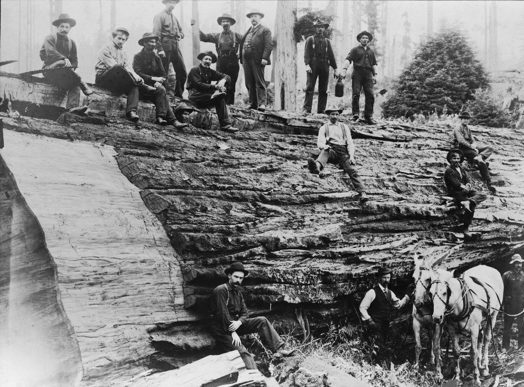log_crew