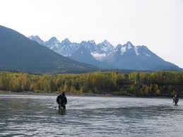 skeena